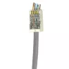 ACT RJ45 (8P/8C) CAT6 Easyconnect ekranēts modulārais savienotājs apaļajam kabelim ar cietiem vai savītiem vadiem