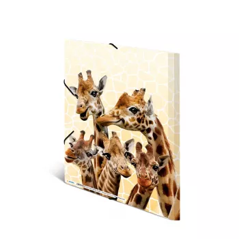 Mapes vāks HERMA Giraffe friends Polipropilēns (PP) Daudzkrāsains A4