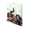 Mapes mape HERMA Monkey gang 19960
