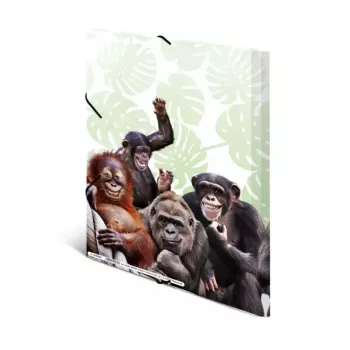 Mapes mape HERMA Monkey gang 19960