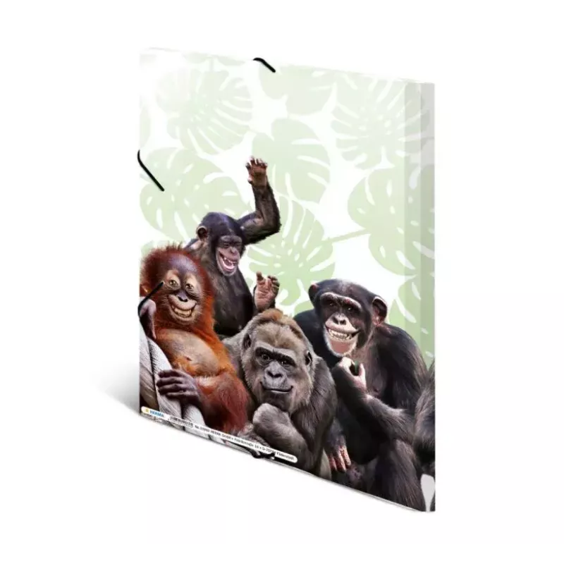 Mapes mape HERMA Monkey gang 19960