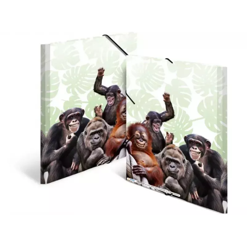 Mapes mape HERMA Monkey gang 19960
