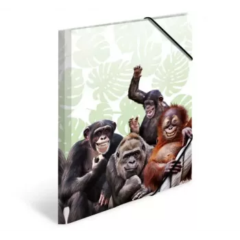 Mapes mape HERMA Monkey gang 19960