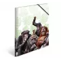 Mapes mape HERMA Monkey gang 19960
