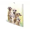 Mapes vāks A4 HERMA Meerkat troop 19961