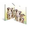 Mapes vāks A4 HERMA Meerkat troop 19961