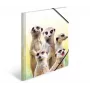 Mapes vāks A4 HERMA Meerkat troop 19961