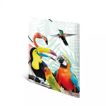 Mape dokumentiem HERMA Tropical Clique A3