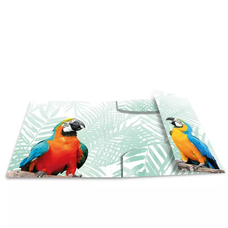 Mape dokumentiem HERMA Tropical Clique A3