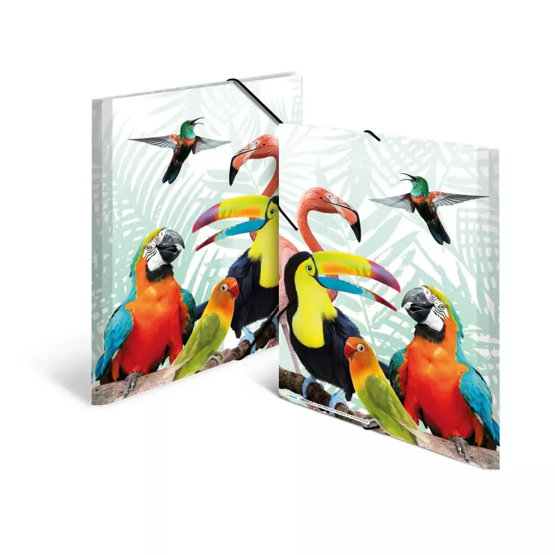 Mape dokumentiem HERMA Tropical Clique A3
