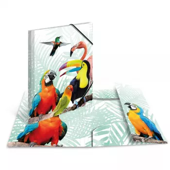 Mape dokumentiem HERMA Tropical Clique A3