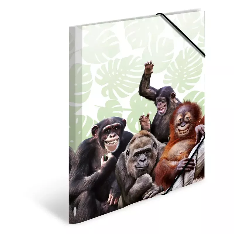 Parasta mapīte HERMA Monkey gang Polipropilēns A3