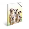 HERMA Meerkat troop parastā mapīte A3