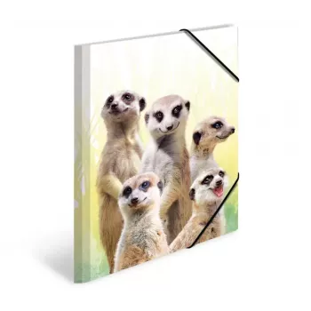 HERMA Meerkat troop parastā mapīte A3