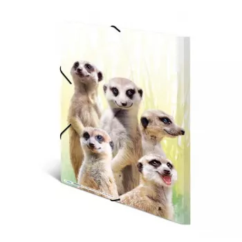 HERMA Meerkat troop parastā mapīte A3