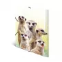 HERMA Meerkat troop parastā mapīte A3