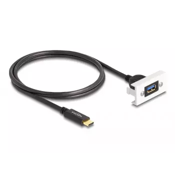 DeLOCK Easy 45 modulis SuperSpeed USB 10 Gbps USB Type-A sievišķais uz USB Type-C vīrišķais