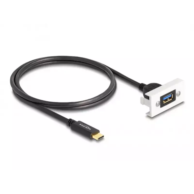 DeLOCK Easy 45 modulis SuperSpeed USB 10 Gbps USB Type-A sievišķais uz USB Type-C vīrišķais