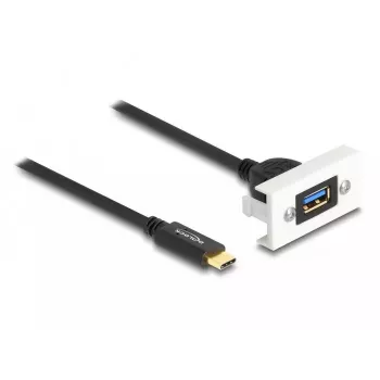 DeLOCK Easy 45 modulis SuperSpeed USB 10 Gbps USB Type-A sievišķais uz USB Type-C vīrišķais