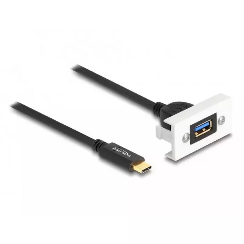 DeLOCK Easy 45 modulis SuperSpeed USB 10 Gbps USB Type-A sievišķais uz USB Type-C vīrišķais