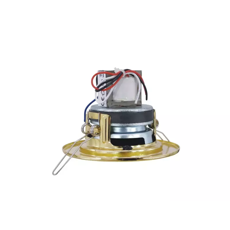 Divvirzienu skaļrunis Omnitronic 80710203 Gold Wired 6 W