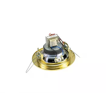Divvirzienu skaļrunis Omnitronic 80710207 Gold Wired 6 W