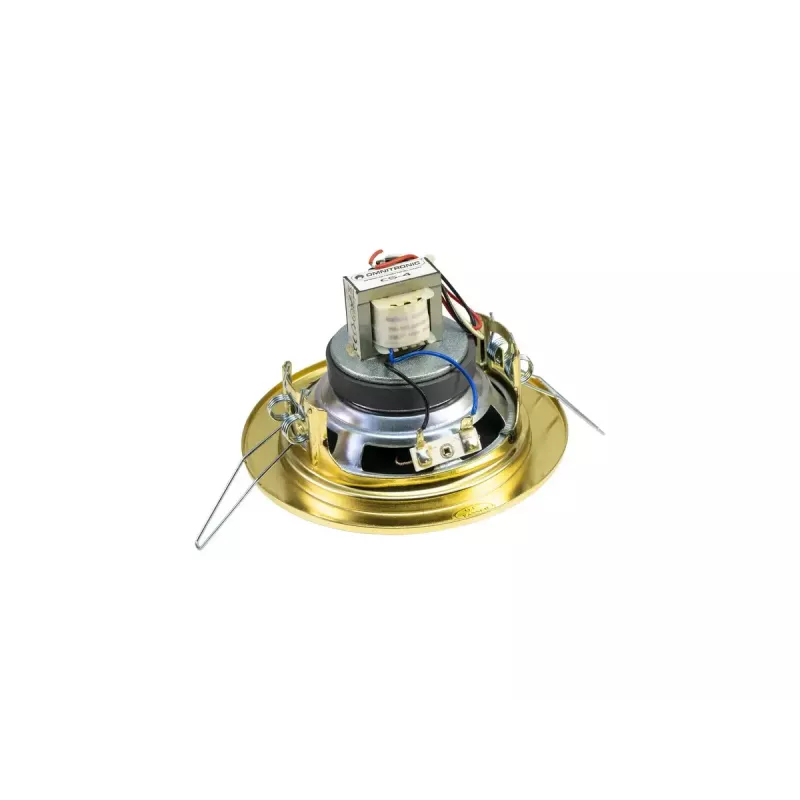 Divvirzienu skaļrunis Omnitronic 80710207 Gold Wired 6 W