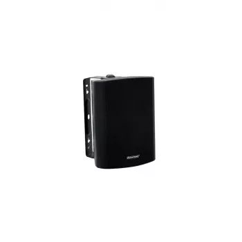 Divvirzienu skaļrunis Omnitronic 80710520 30 W