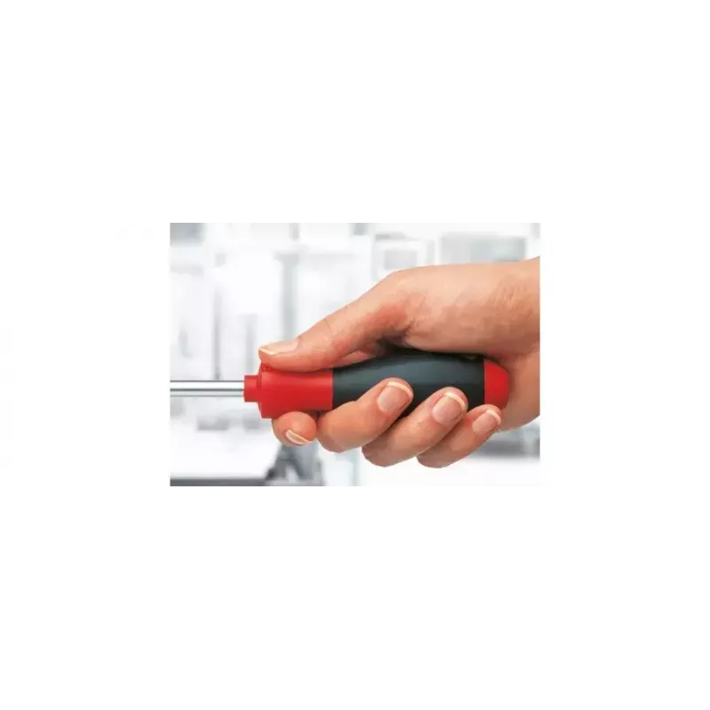 Skrūvgriezis Wiha SoftFinish Single 27738 Torx