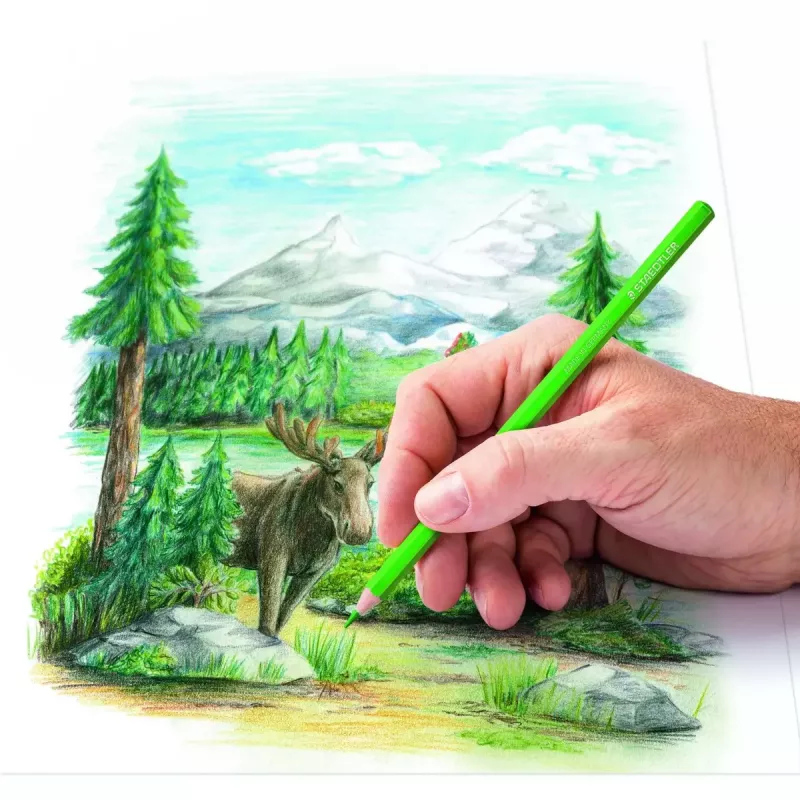 Krāsainie zīmuļi Staedtler 146C Multicolour 72 gab.
