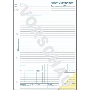 Grāmatvedības grāmata/veidlapa AVERY 1769 A4 40 lapas