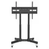 Manhattan zemais statīvs uz riteņiem televizoriem un monitoriem, 37–65 collas, VESA 200x200–600x400 mm, 40 kg, 45° slīpums