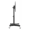 Manhattan zemais statīvs uz riteņiem televizoriem un monitoriem, 37–65 collas, VESA 200x200–600x400 mm, 40 kg, 45° slīpums
