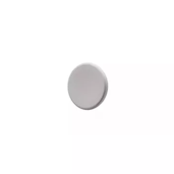 Magnēts stikla tāfelei Legamaster silts pelēks, metāls, 30×7 mm, iepakojumā 5 gab.