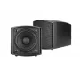 Skaļrunis 1-virziena Omnitronic 11036902 Melns Vadu 15 W