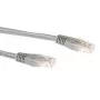 ACT pelēks 0,25 m LSZH U/UTP CAT6A savienojuma kabelis ar RJ45 savienotājiem
