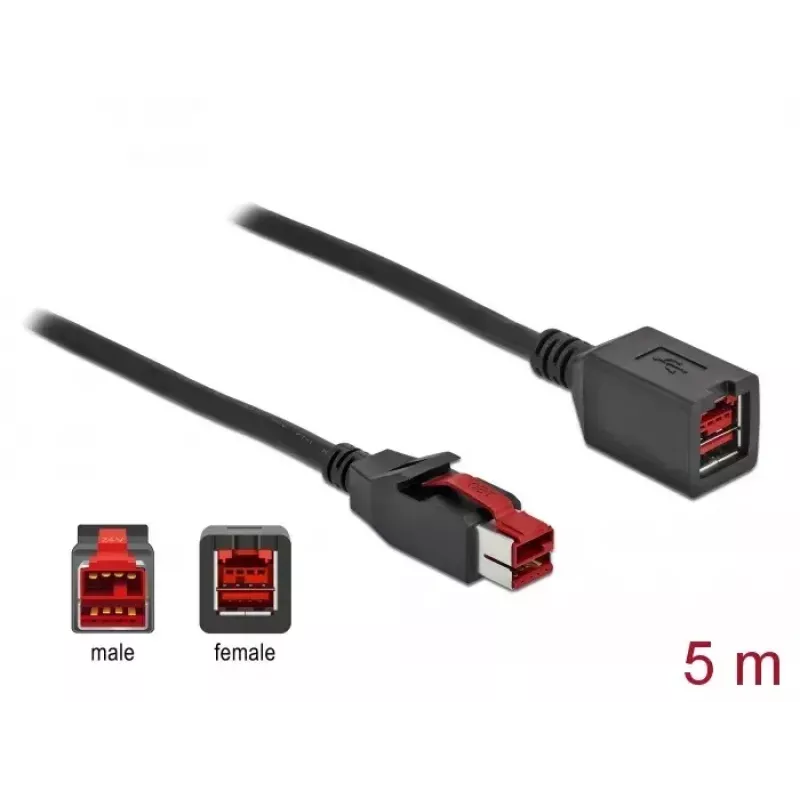 Powered USB pagarinātājkabelis DeLOCK 85989 24 V 5 m
