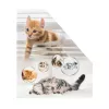HERMA Stehsammler Katzen A4 Dzeltens - žurnālu statīvs