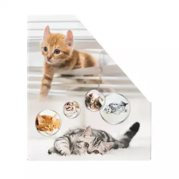 HERMA Stehsammler Katzen A4 Dzeltens - žurnālu statīvs