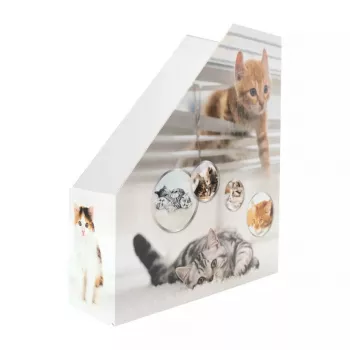 HERMA Stehsammler Katzen A4 Dzeltens - žurnālu statīvs