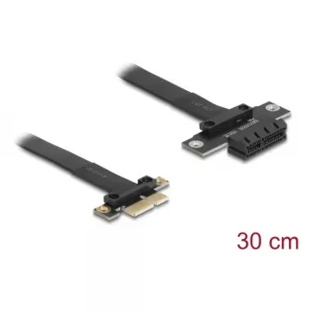 Delock 81297 PCI Express x1 pagarinātāja kabelis 30 cm