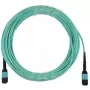 Šķiedru optikas kabelis BlueOptics CBX-STC012BPF-MXXN-MXXN-020M MTP OM4 20m Tirkīza