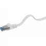 Tīkla kabelis Renkforce RF-4149837 0,5 m Cat6a U/FTP