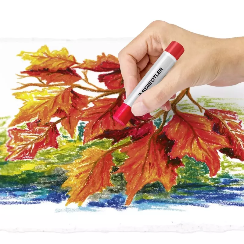 Krāsainie zīmuļi Staedtler 2420, 12 gab.