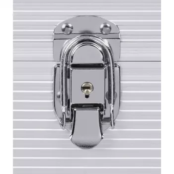 Hama 00181435 cietais maciņš vinila platēm Microgroove sudraba krāsā