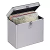 Hama 00181435 cietais maciņš vinila platēm Microgroove sudraba krāsā