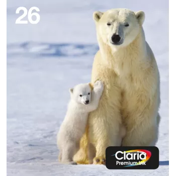 Epson Polar bear Multipack 4 krāsas 26 EasyMail, standarta ietilpība, melns, ciāns, fuksīns, dzeltens, pigmenta tinte, krāsu tinte, 6,2 ml, 4,5 ml