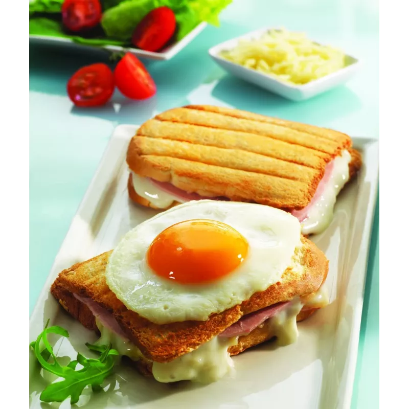 Rezerves plāksnes Tefal XA800112 Snack Collection/SnackTime — melna, 242×155×44 mm, 2 gab. iepakojums