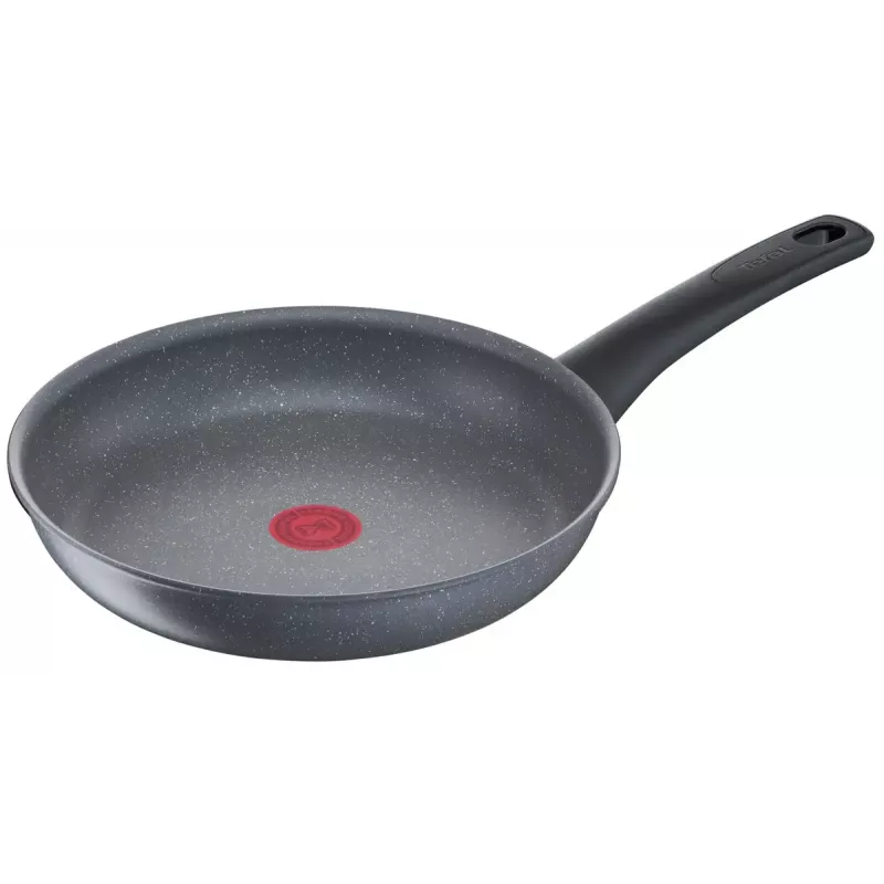 Universālā panna Tefal Healthy Chef G15004 Apaļa 24 cm Pelēka
