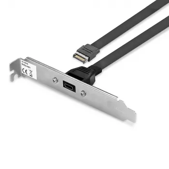 Lindy USB 3.1 Gen 2 Type C aizmugures panelis, 0.45 m, USB A vīriešu savienotājs